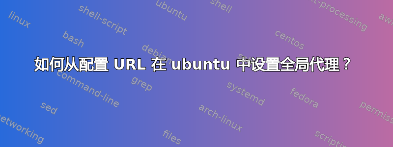 如何从配置 URL 在 ubuntu 中设置全局代理？