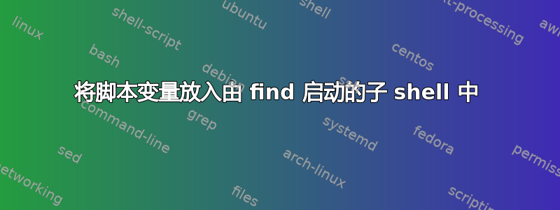 将脚本变量放入由 find 启动的子 shell 中