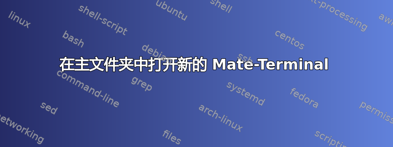 在主文件夹中打开新的 Mate-Terminal