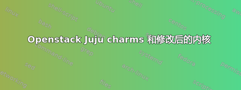 Openstack Juju charms 和修改后的内核