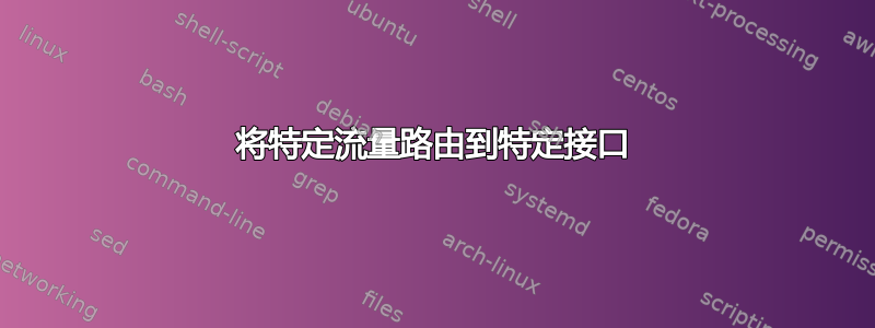 将特定流量路由到特定接口