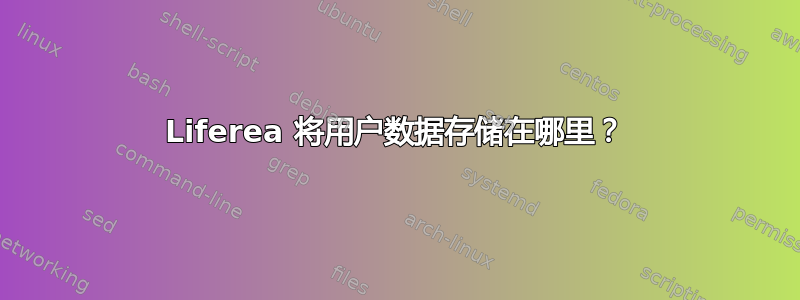 Liferea 将用户数据存储在哪里？