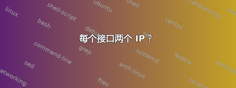 每个接口两个 IP？