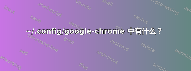 ~/.config/google-chrome 中有什么？