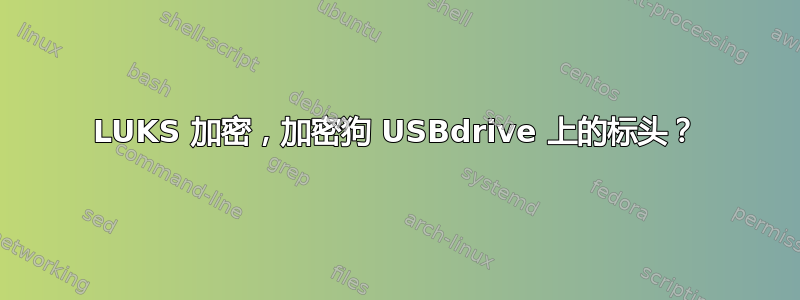 LUKS 加密，加密狗 USBdrive 上的标头？