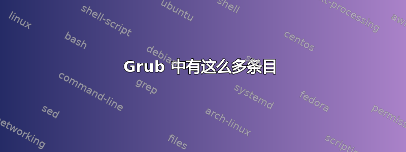 Grub 中有这么多条目