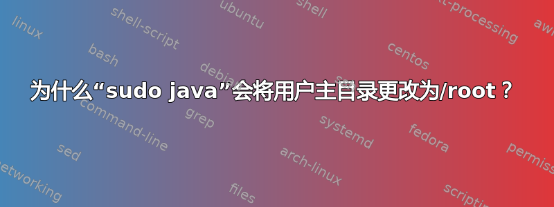 为什么“sudo java”会将用户主目录更改为/root？