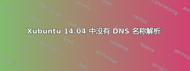 Xubuntu 14.04 中没有 DNS 名称解析