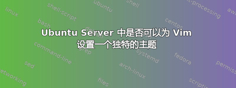 Ubuntu Server 中是否可以为 Vim 设置一个独特的主题