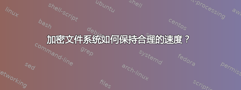 加密文件系统如何保持合理的速度？