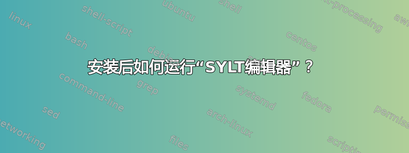 安装后如何运行“SYLT编辑器”？