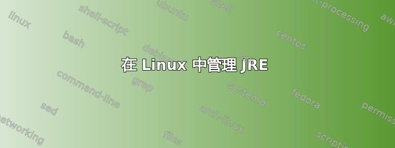 在 Linux 中管理 JRE