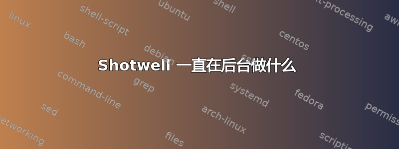 Shotwell 一直在后台做什么