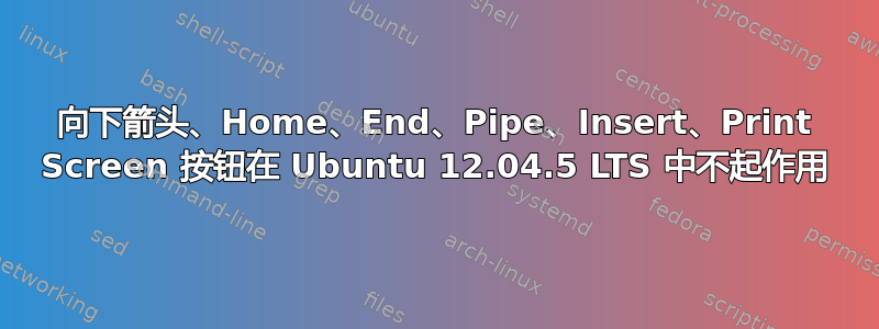 向下箭头、Home、End、Pipe、Insert、Print Screen 按钮在 Ubuntu 12.04.5 LTS 中不起作用