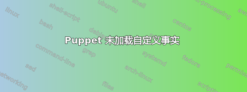 Puppet 未加载自定义事实