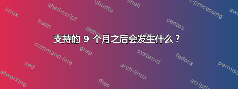 支持的 9 个月之后会发生什么？