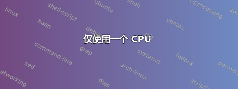 仅使用一个 CPU