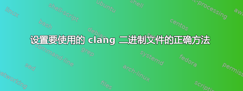 设置要使用的 clang 二进制文件的正确方法