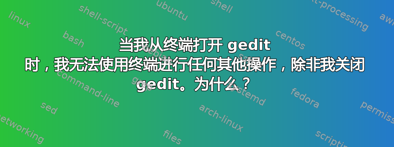 当我从终端打开 gedit 时，我无法使用终端进行任何其他操作，除非我关闭 gedit。为什么？