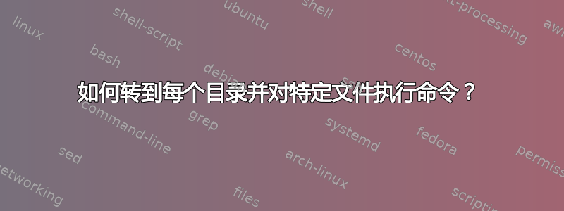 如何转到每个目录并对特定文件执行命令？