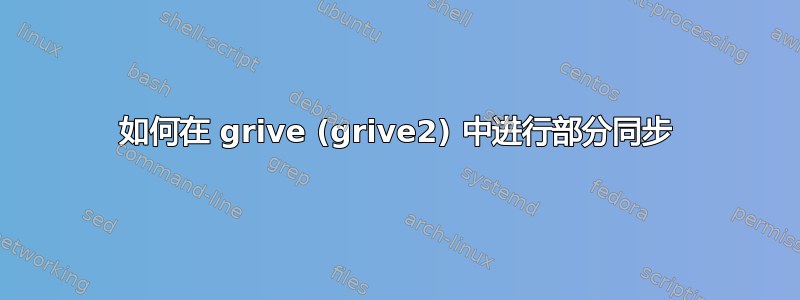 如何在 grive (grive2) 中进行部分同步