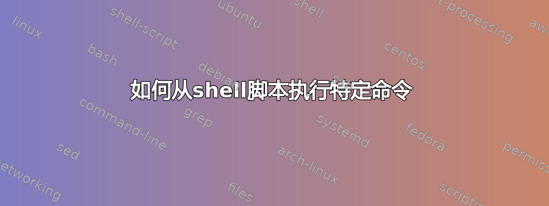 如何从shell脚本执行特定命令