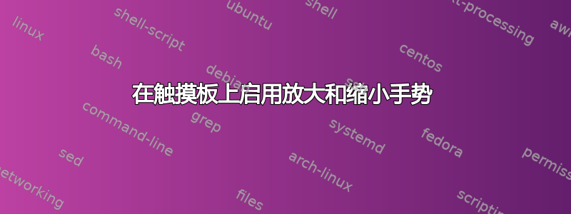 在触摸板上启用放大和缩小手势