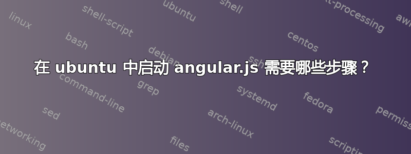 在 ubuntu 中启动 angular.js 需要哪些步骤？