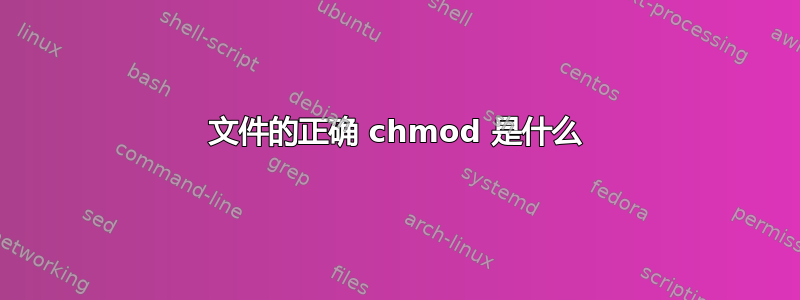 文件的正确 chmod 是什么