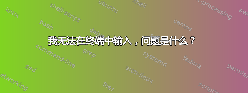 我无法在终端中输入，问题是什么？