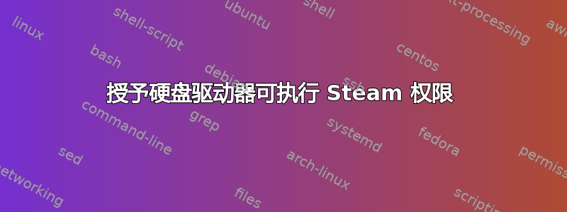 授予硬盘驱动器可执行 Steam 权限