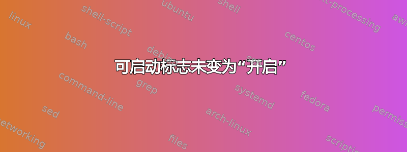 可启动标志未变为“开启”