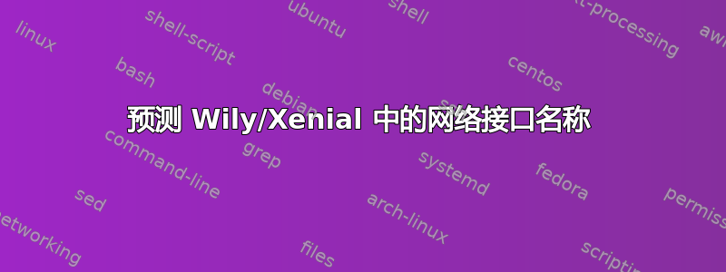 预测 Wily/Xenial 中的网络接口名称