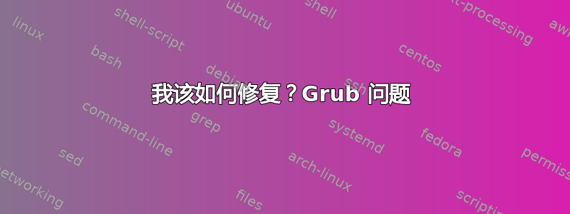 我该如何修复？Grub 问题