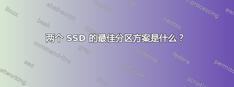 两个 SSD 的最佳分区方案是什么？