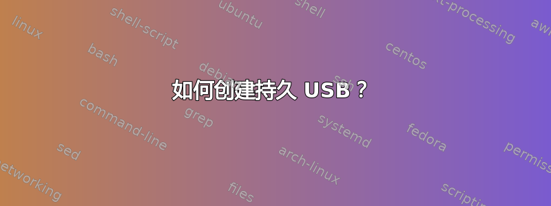 如何创建持久 USB？