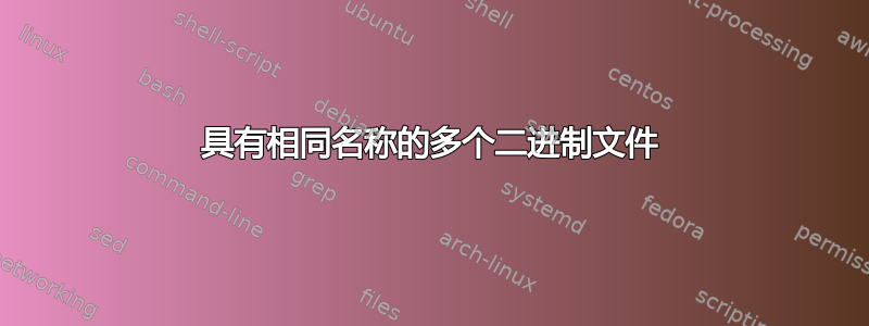 具有相同名称的多个二进制文件