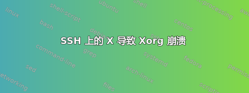 SSH 上的 X 导致 Xorg 崩溃