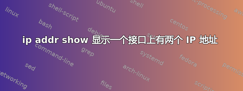 ip addr show 显示一个接口上有两个 IP 地址