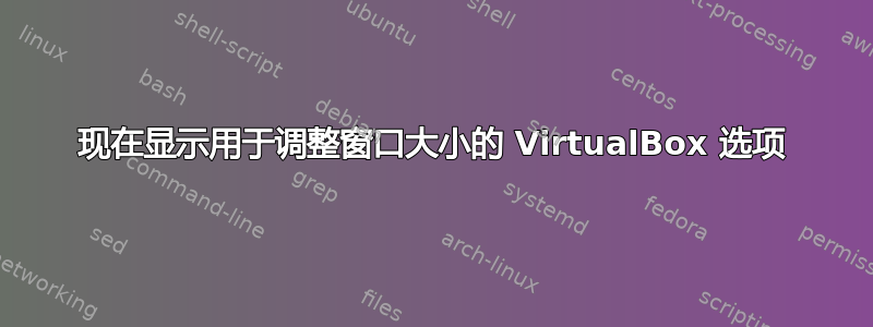 现在显示用于调整窗口大小的 VirtualBox 选项