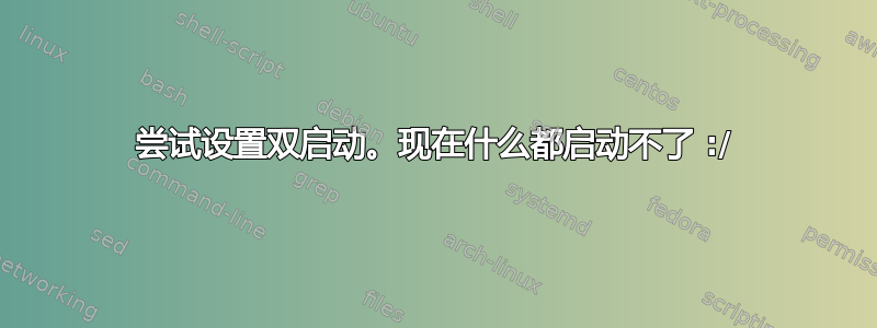 尝试设置双启动。现在什么都启动不了 :/