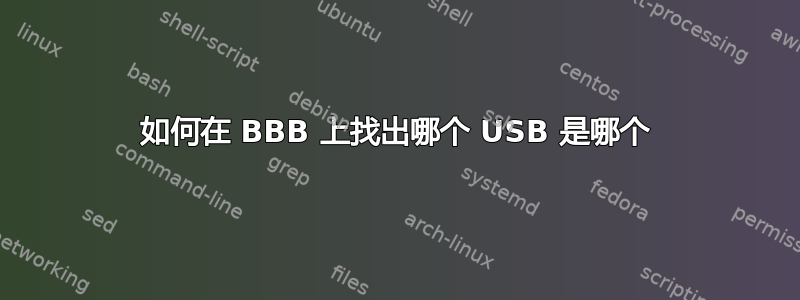 如何在 BBB 上找出哪个 USB 是哪个