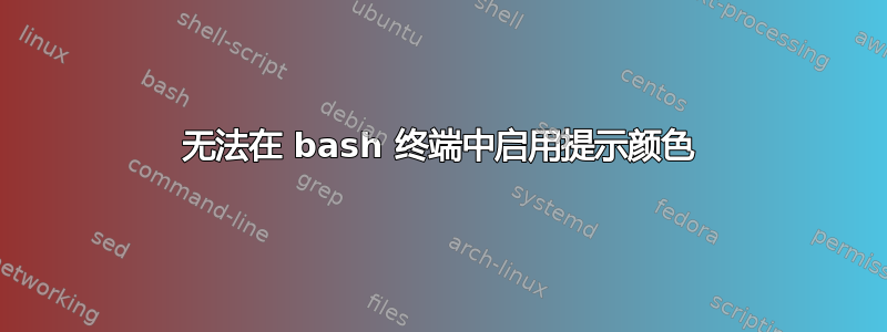 无法在 bash 终端中启用提示颜色