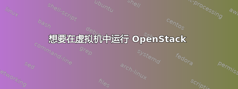 想要在虚拟机中运行 OpenStack