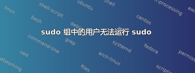 sudo 组中的用户无法运行 sudo