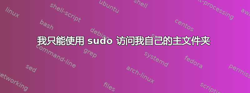 我只能使用 sudo 访问我自己的主文件夹