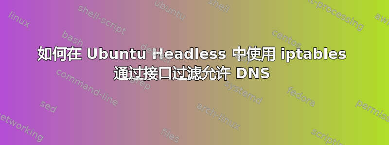 如何在 Ubuntu Headless 中使用 iptables 通过接口过滤允许 DNS