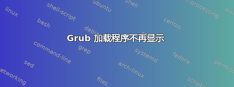 Grub 加载程序不再显示