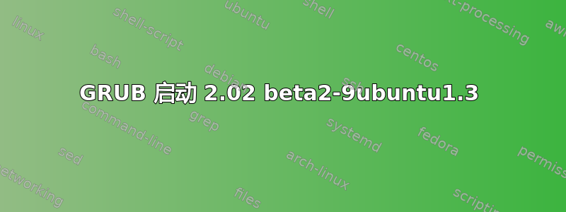 GRUB 启动 2.02 beta2-9ubuntu1.3