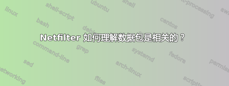 Netfilter 如何理解数据包是相关的？